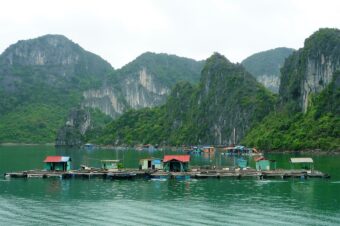 Gazing at Towering Limestone Pillars in Halong Bay