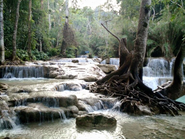 Kuang Si: The Most Beautiful Waterfall in Laos - Life Untraveled