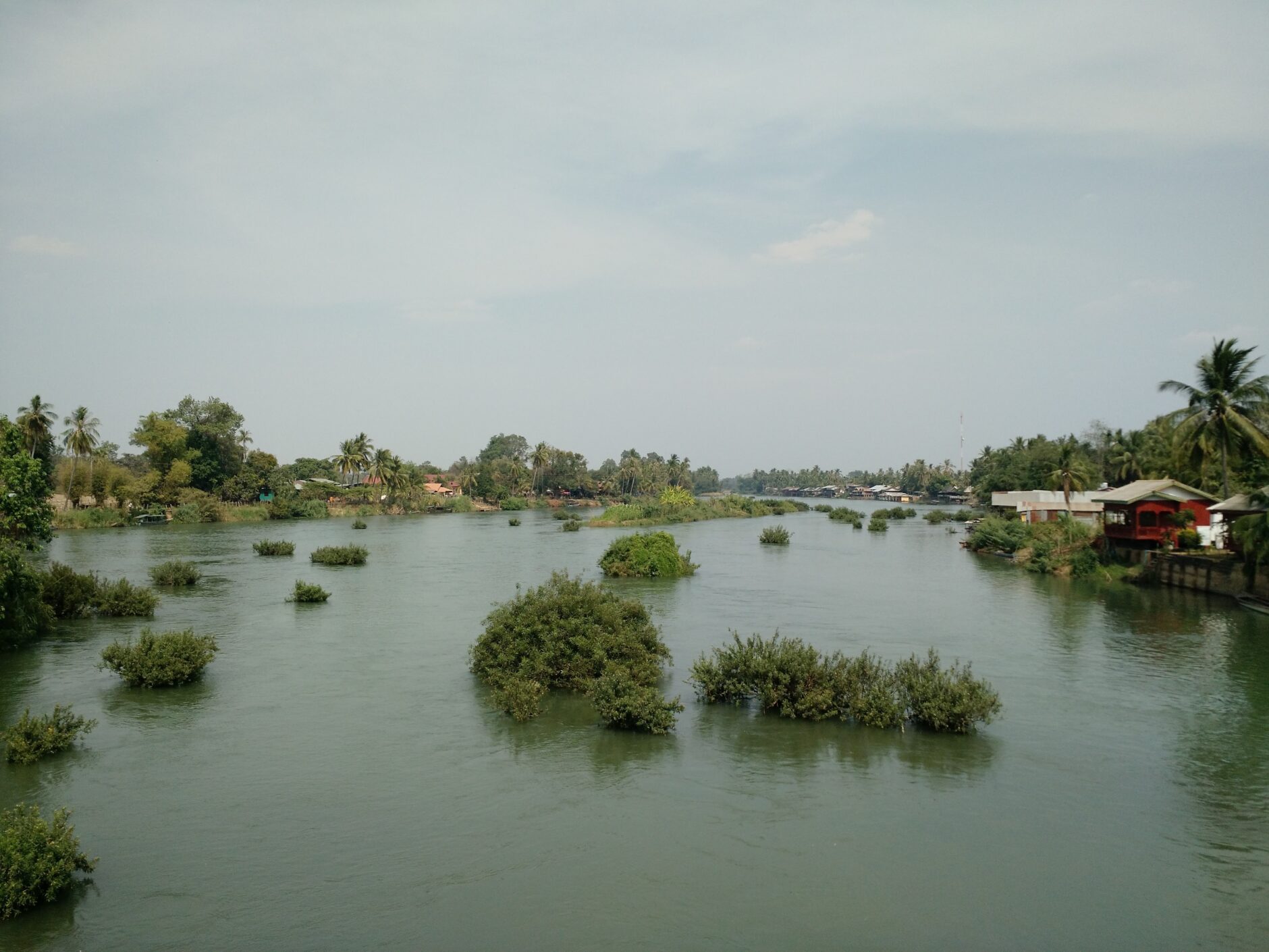 Floating shrubs and islets in Don Det Four Thousand Islands in Laos
