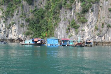 Gazing at Towering Limestone Pillars in Halong Bay