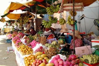 A Guide to the Fruits of Cambodia