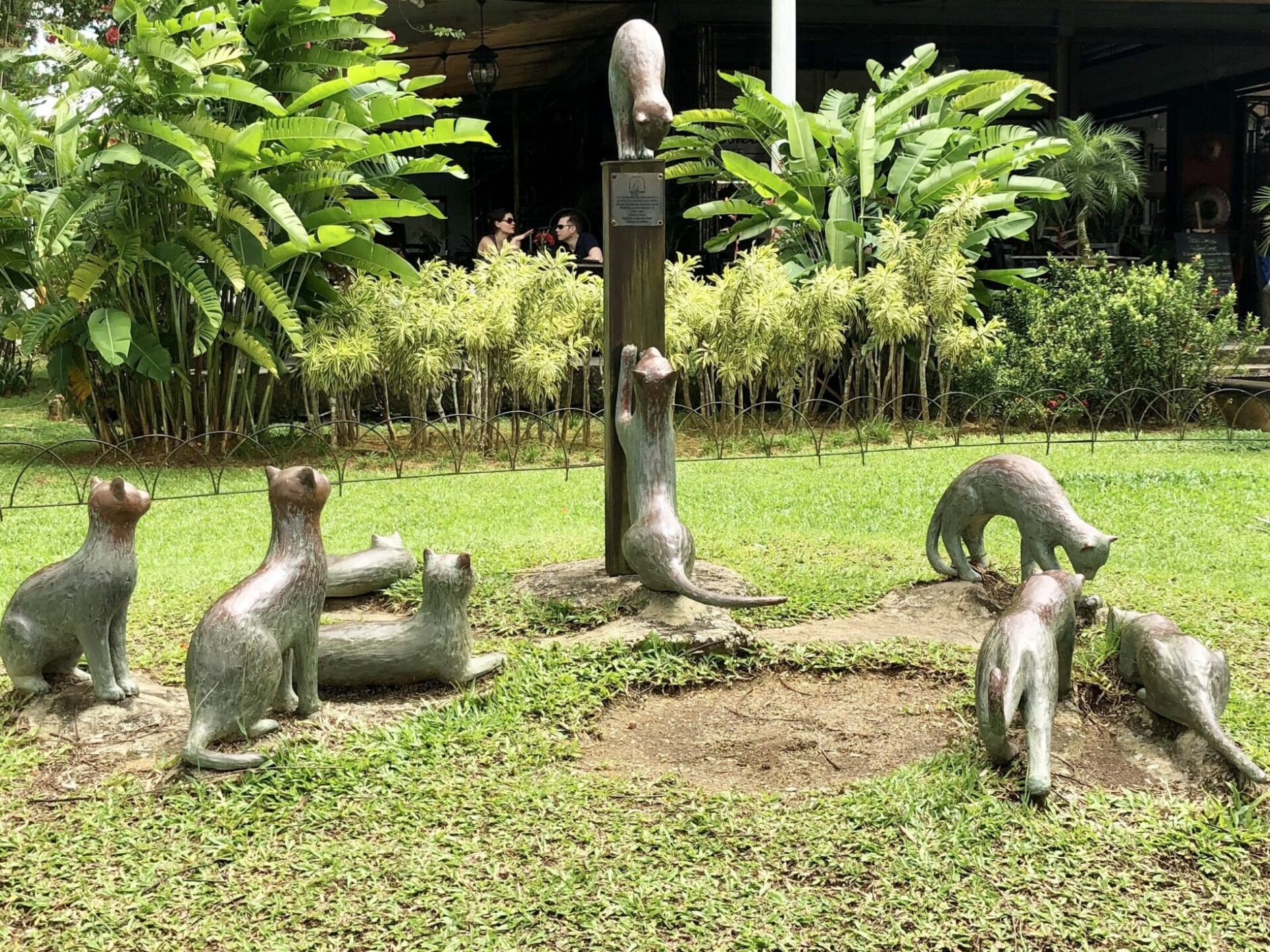 Bronze statues of gats playing in the grass