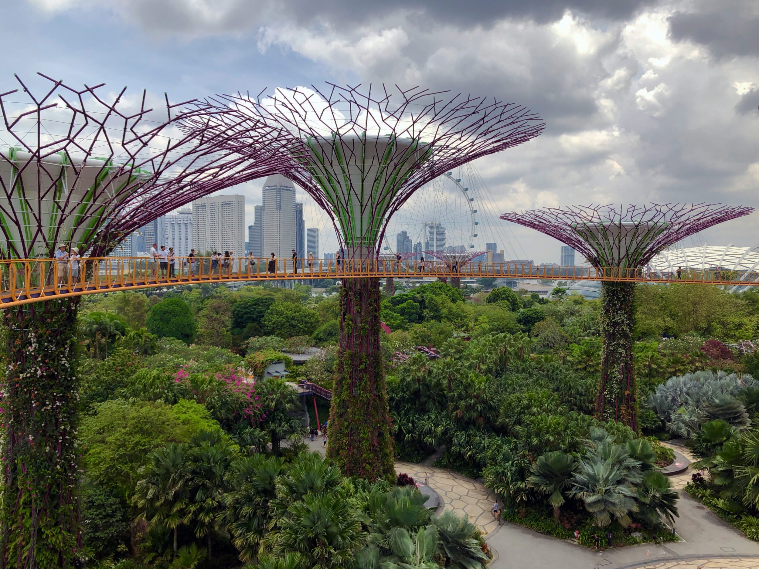 Pink Supertrees surrounded by lush green vegetation in the Supertree Grove in Singapore