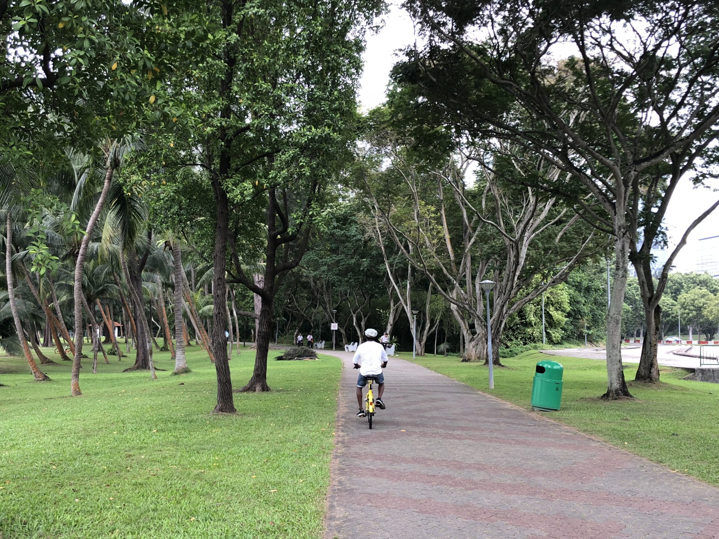 Visiting Singapore by bike in Rail Corridor Park on a lane lined with trees